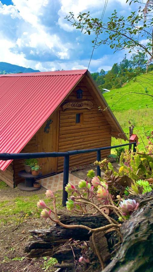 Campsite Glamping El Ocaso *