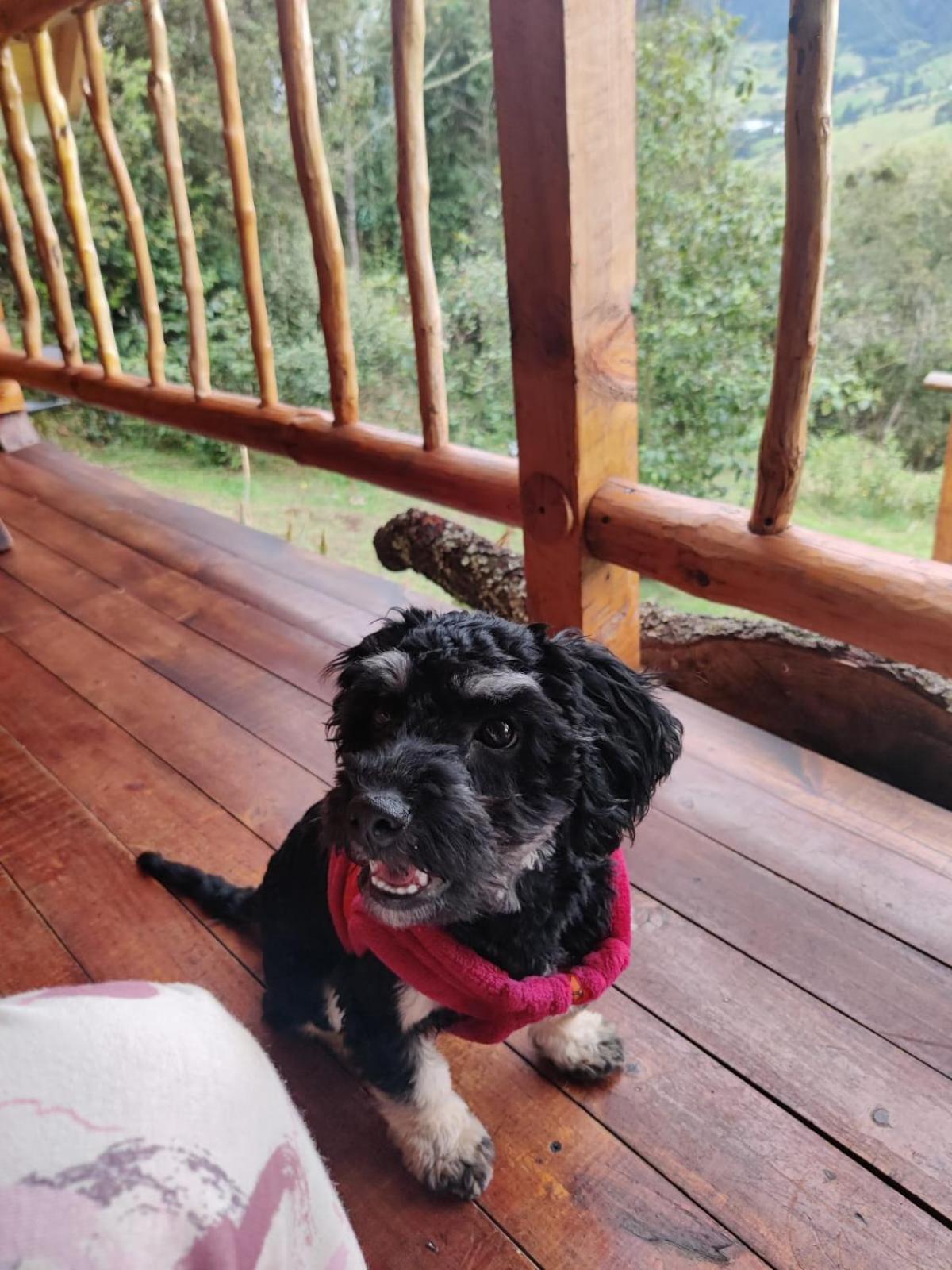 Glamping El Ocaso Campsite Zipaquira