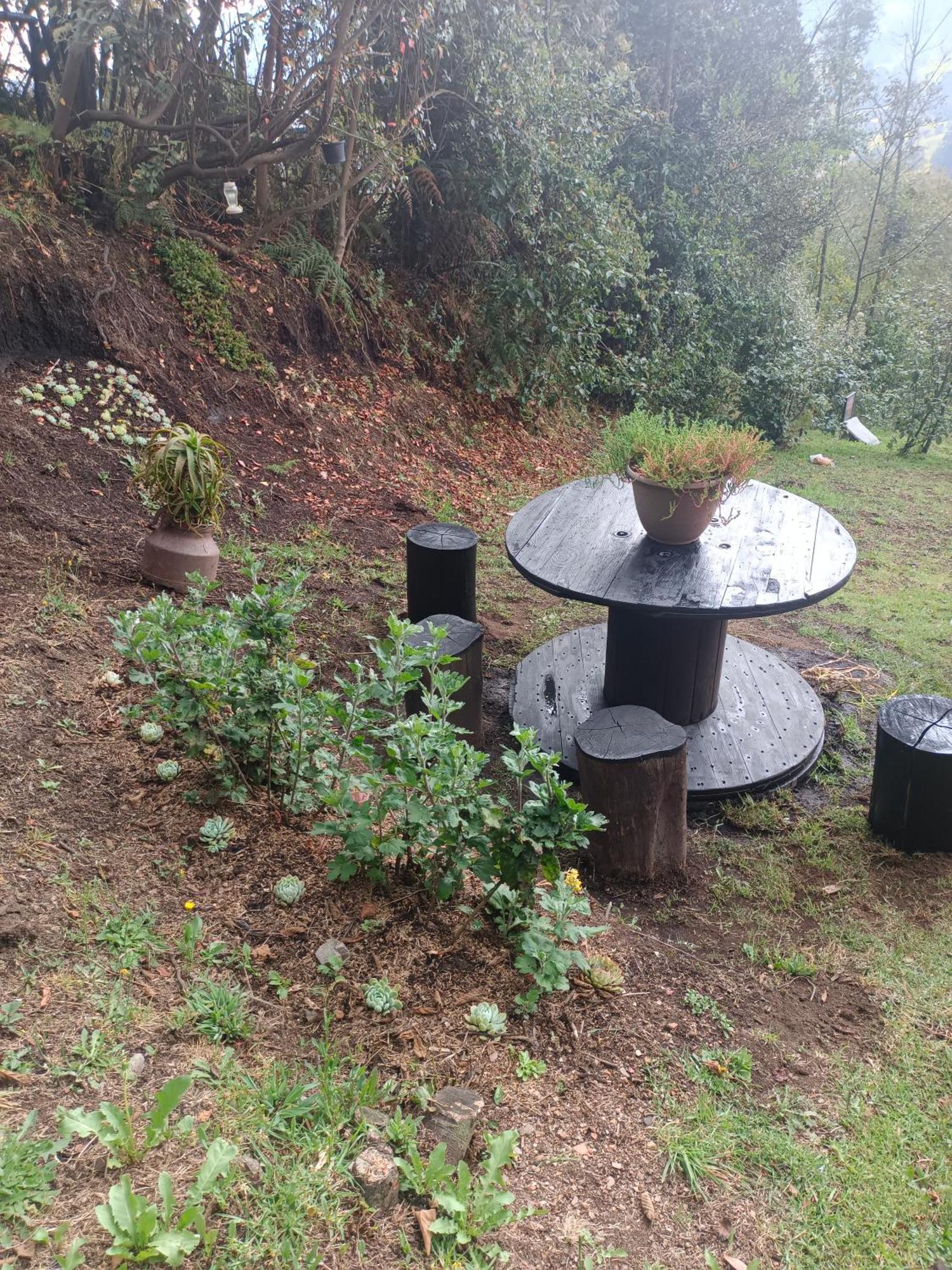 Glamping El Ocaso