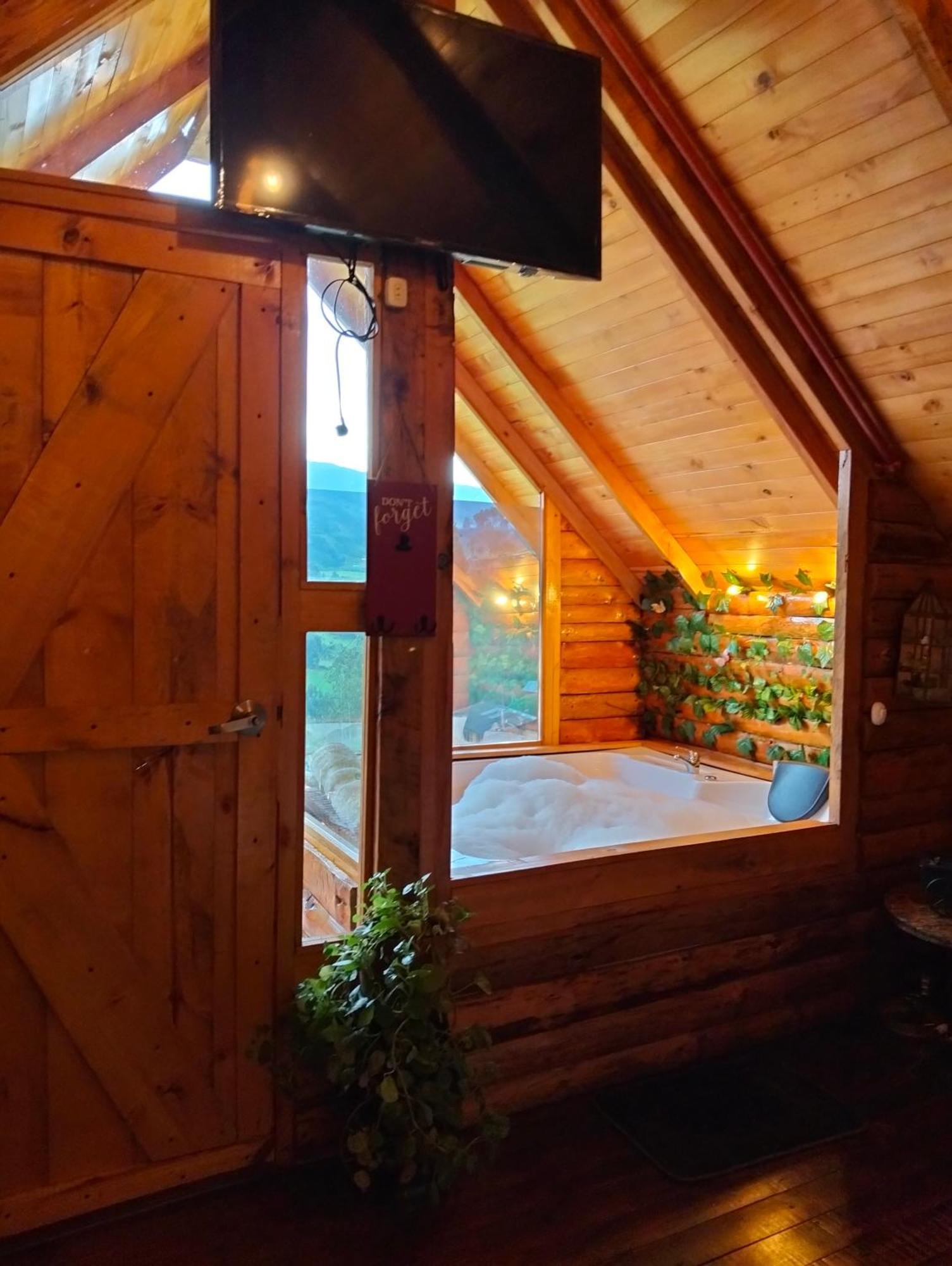 Glamping El Ocaso Campsite